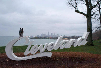 Cattle Dog with Cleveland Sign