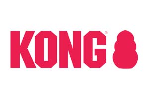 Kong Logo