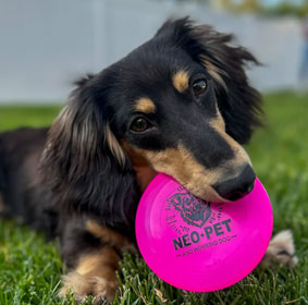 Neo Pet Frisbee