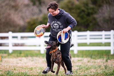 Dog frisbee fun